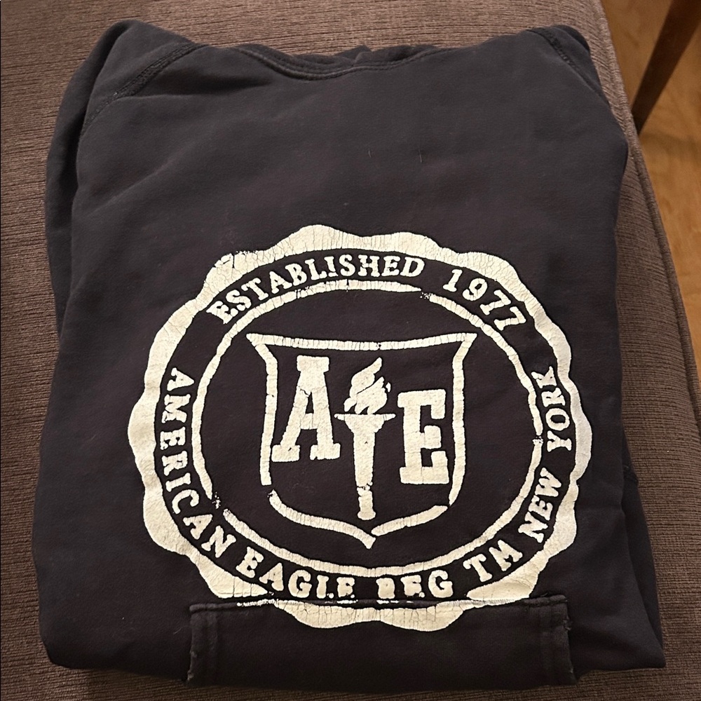 American Eagle Outfitters Hoodie